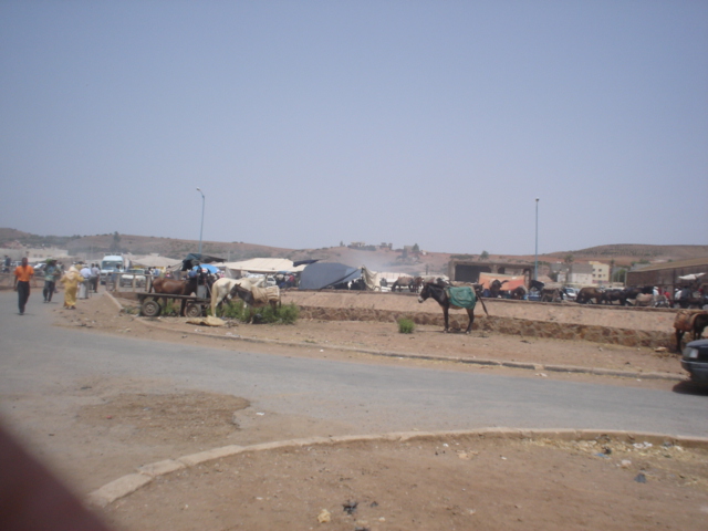 Natoss Rommani Maroc